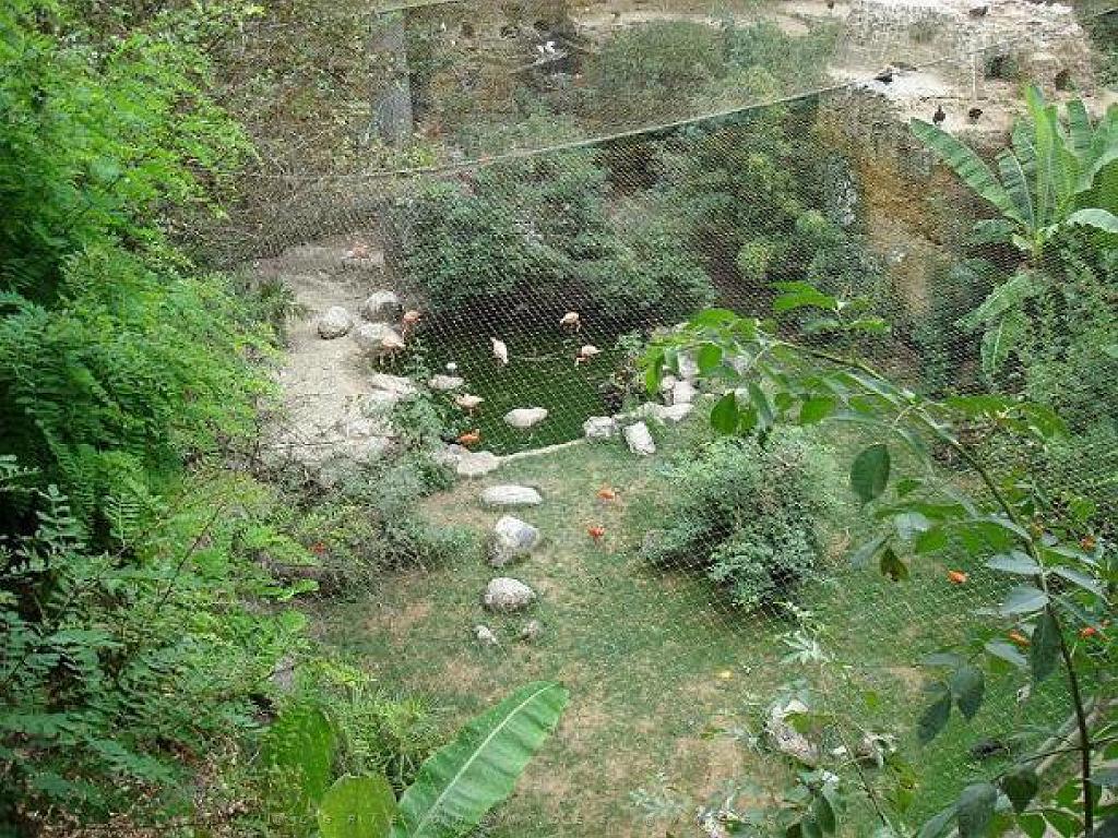 149 BIO PARC DE DOUE LA FONTAINE 4- 2016_000047.jpg